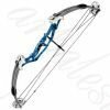 Блочный лук фирмы HOYT «RINTEC XL»